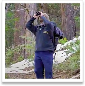 Photo of a hiker exploring Sly Park with binoculars